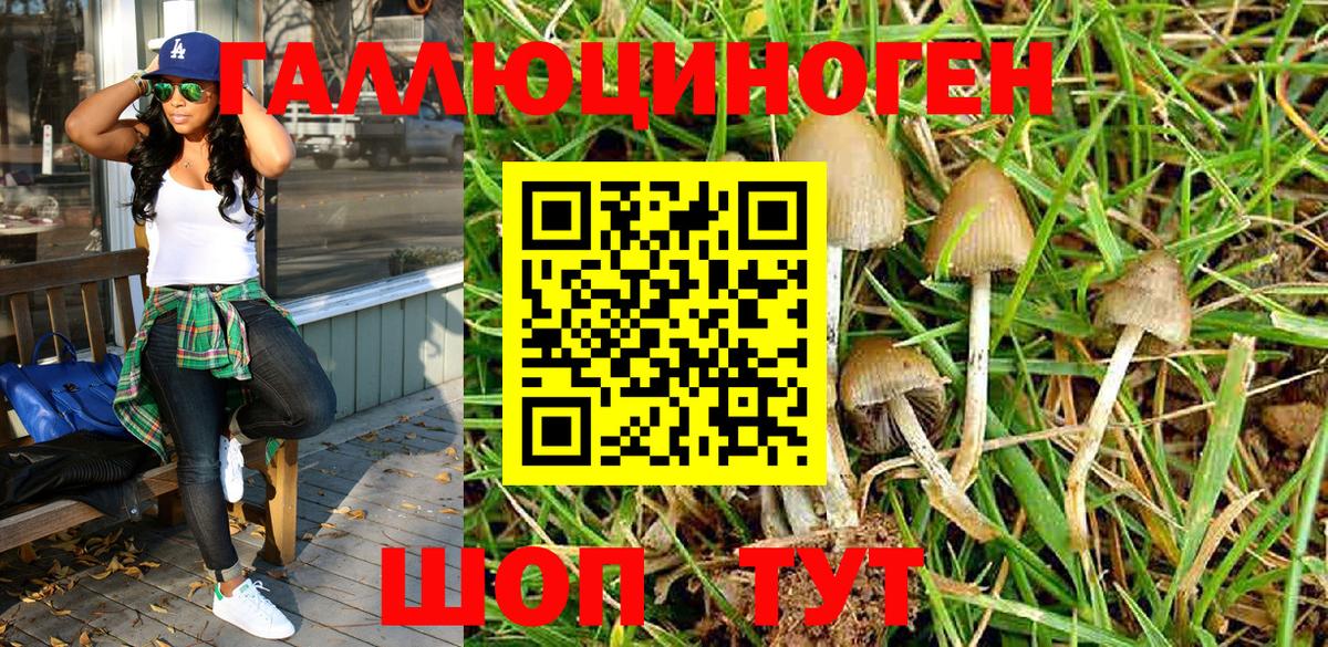 Дзержинск  Галлюциногенные грибы Psilocybe  Вход с VPN 
