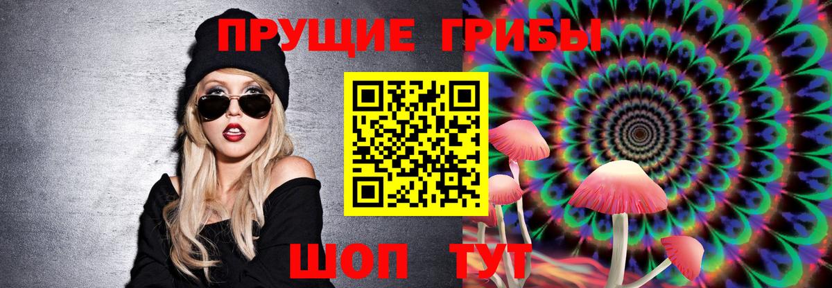 Псилоцибиновые грибы Psilocybe Дзержинск